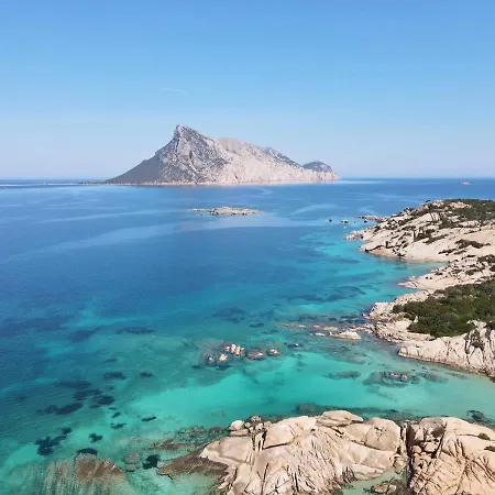 아파트호텔 In With Swimming Pool In Cala Girgolu 몬테 페트로수